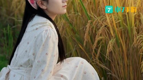 田园女什么意思